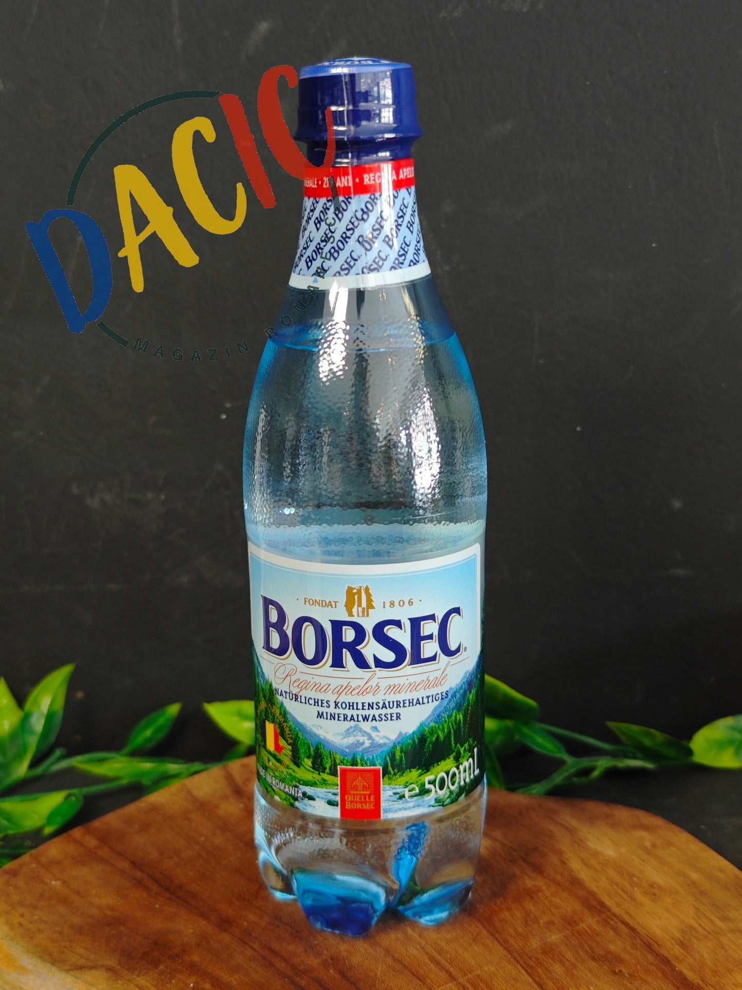 Eau Minérale Naturelle Borsec 0,5 L