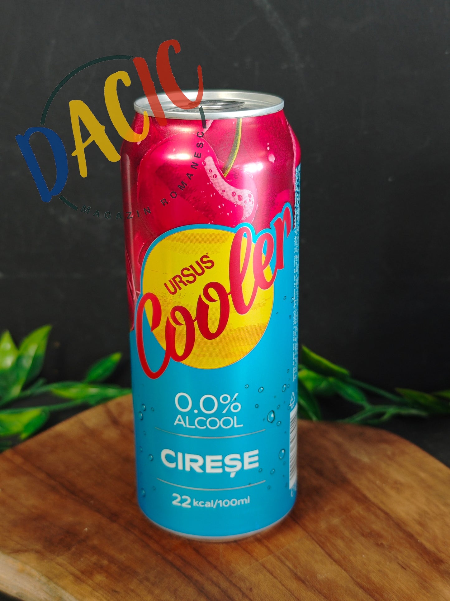 Ursus Cooler Cherry 0,5 L