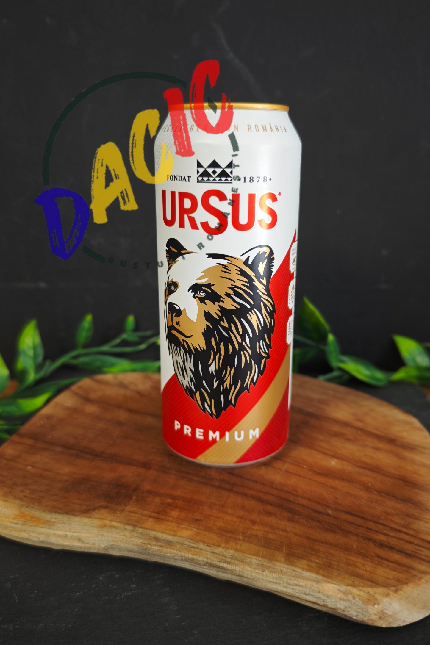 Bière Ursus en canette de 0,5 L (5 % d'alcool)