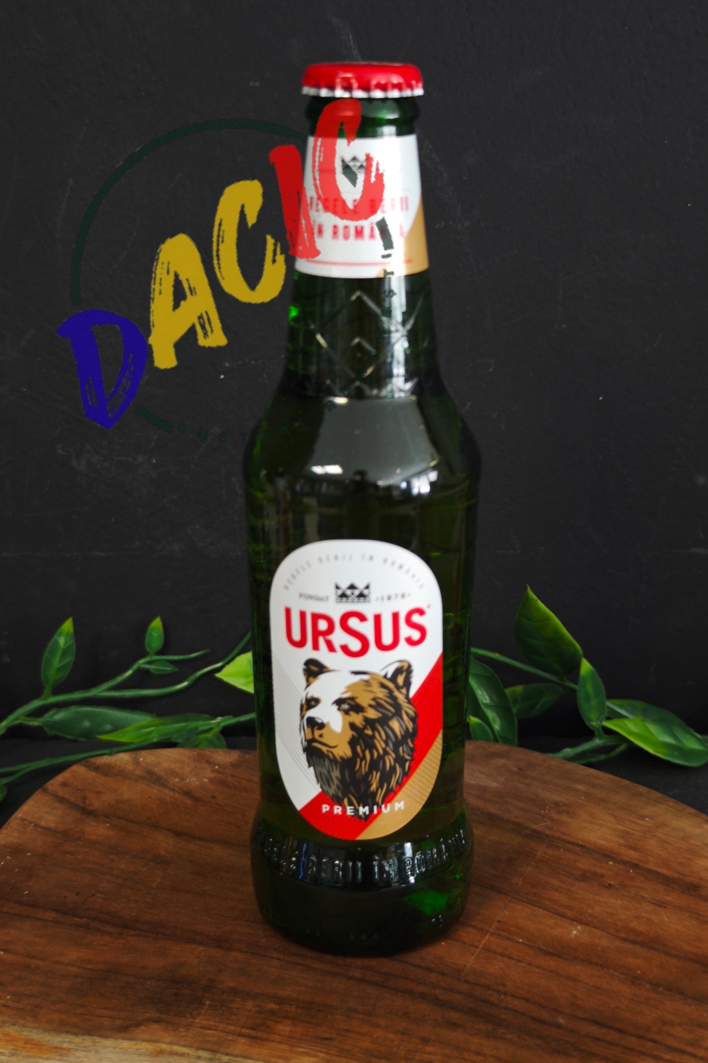 BIÈRE URSUS EN BOUTEILLES DE 0,33 L (5 % alc.)
